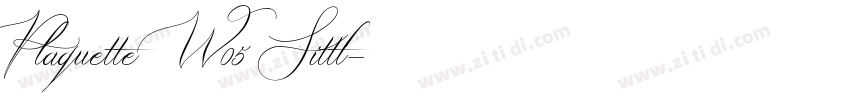 Plaquette W05 Sittl字体转换